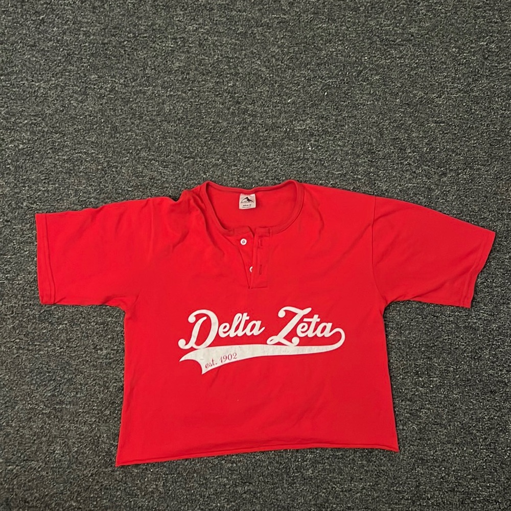 Delta Zeta Crop Top